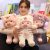 Toy Soft Cartoon Animal Cat/Bear/Dog Stuffed Doll Girls Valentine’s