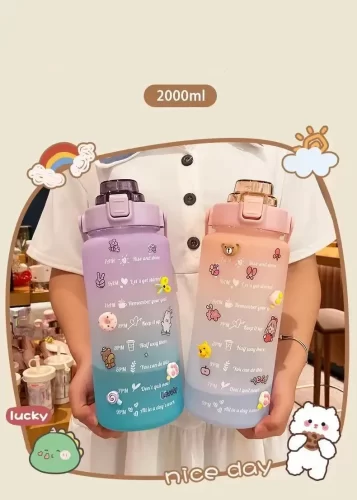 2L Colorful Frosted Water Bottle With Straw And Cute