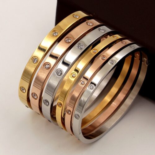 Beautiful Lovers Bracelets Woman Bracelets Stainless Steel Bangles and Bangles Cubic Zircon