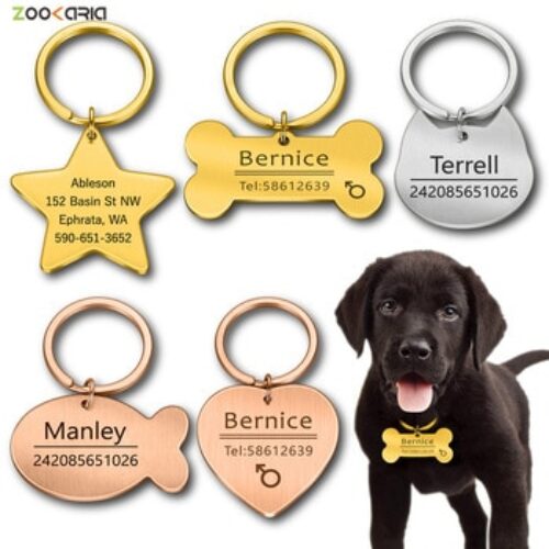 Pet ID Name Keyring Bone Pet Accessories