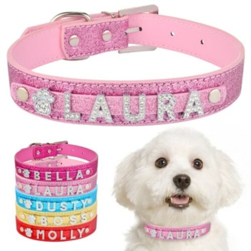 Dog Collar Leather Rhinestone Bling Charms Custom pet